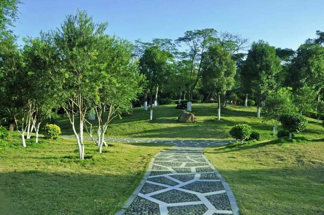 &#21315;&#20159;&#20307;&#32946;&#30331;&#24405;&#32593;&#31449;&#65288;&#20013;&#22269;&#65289;&#38598;&#22242;&#26377;&#38480;&#20844;&#21496;