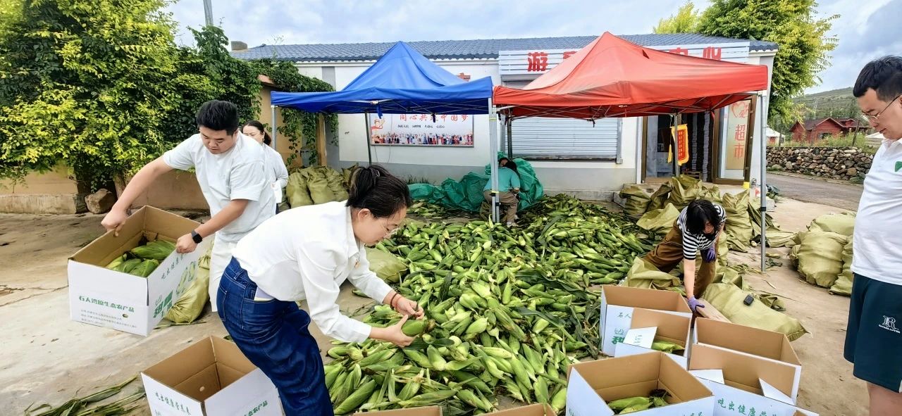 &#21315;&#20159;&#20307;&#32946;&#30331;&#24405;&#32593;&#31449;&#65288;&#20013;&#22269;&#65289;&#38598;&#22242;&#26377;&#38480;&#20844;&#21496;