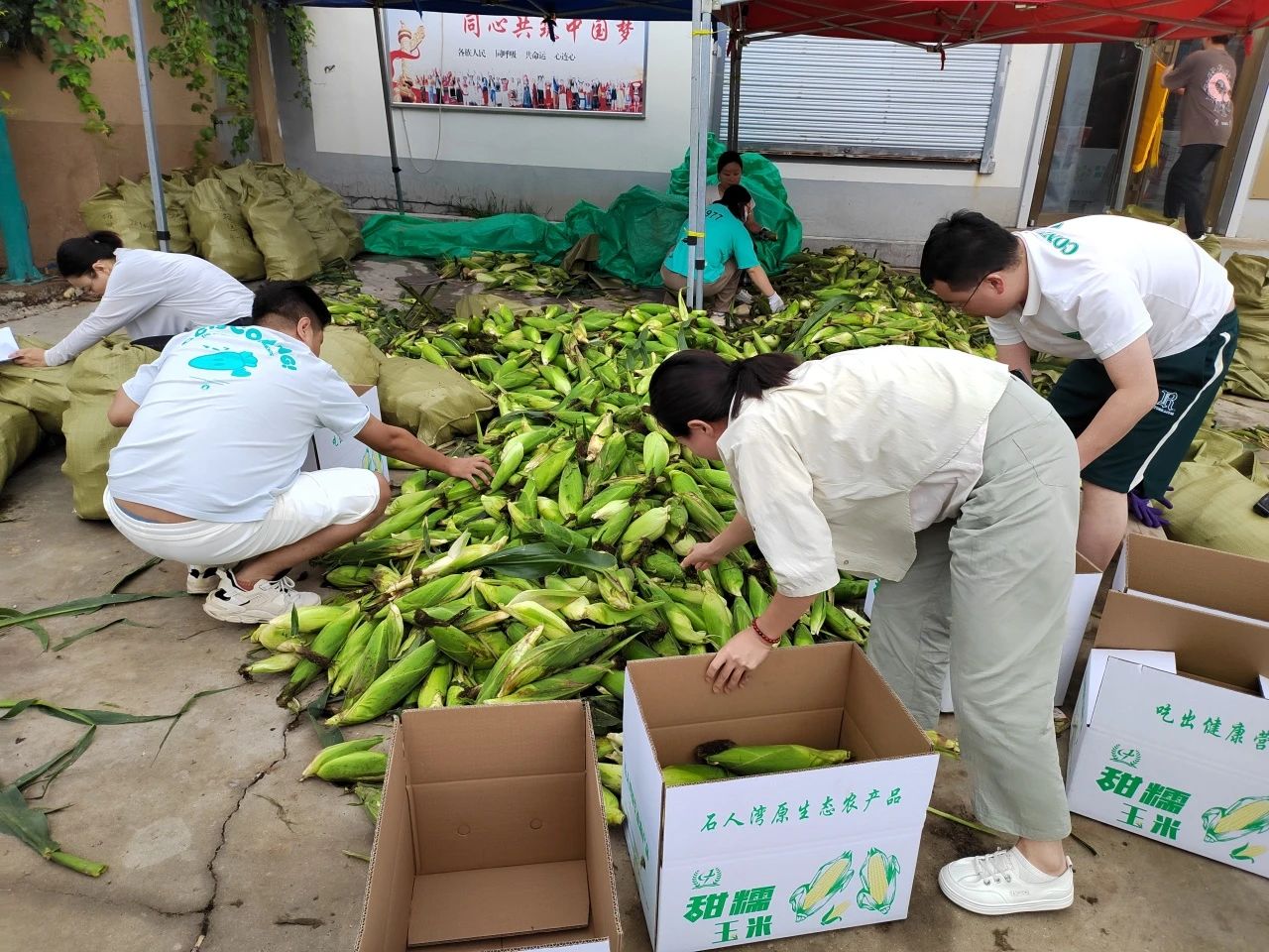 &#21315;&#20159;&#20307;&#32946;&#30331;&#24405;&#32593;&#31449;&#65288;&#20013;&#22269;&#65289;&#38598;&#22242;&#26377;&#38480;&#20844;&#21496;