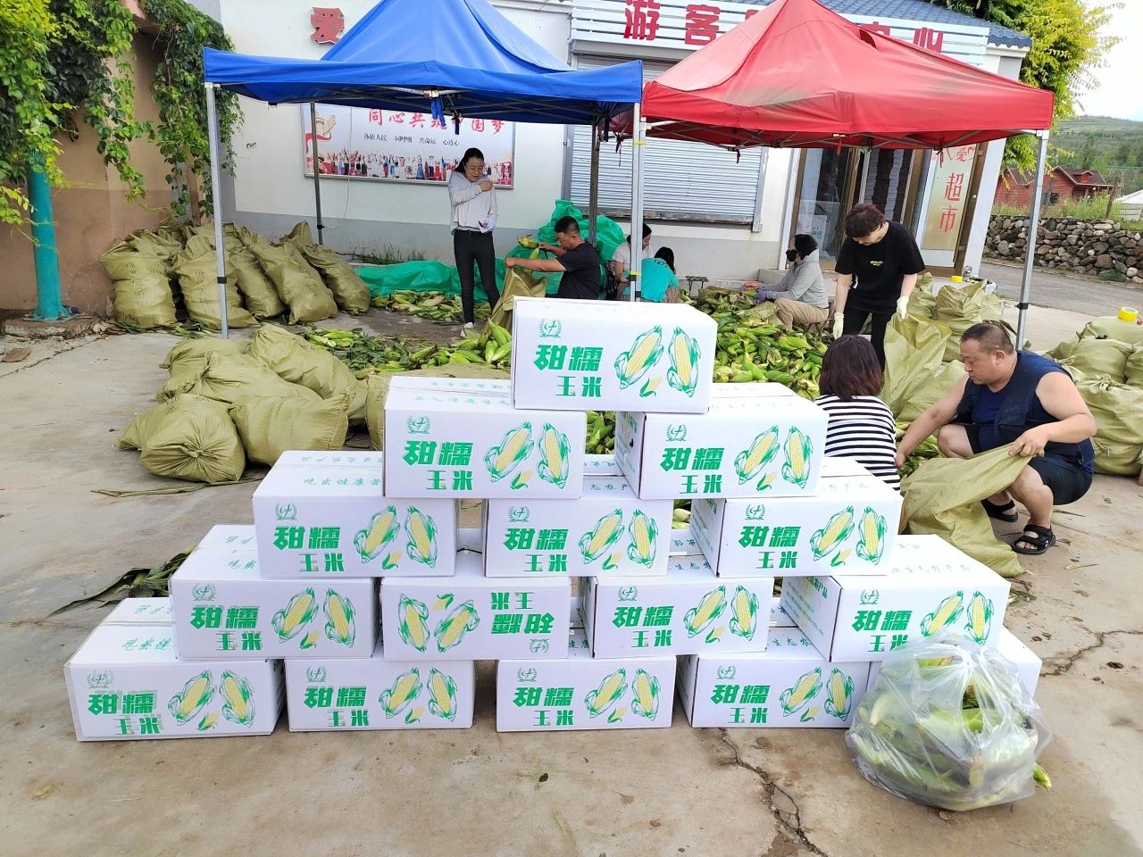 &#21315;&#20159;&#20307;&#32946;&#30331;&#24405;&#32593;&#31449;&#65288;&#20013;&#22269;&#65289;&#38598;&#22242;&#26377;&#38480;&#20844;&#21496;